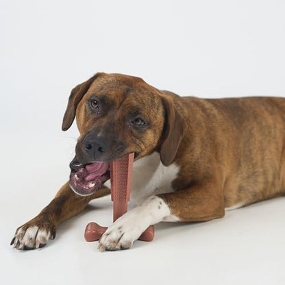 SPOT Bam-Bones Plus Coffee Wood T-Bone Dog Chew Toy, Beef Flavor, Nylon and Coffee Wood Fiber Blend, Durable Chew for Heavy Chewers and Dogs Under 90 lbs, Non-Splintering Dental Chew, 7 Inch - size: 7 Inch (Pack of 1)