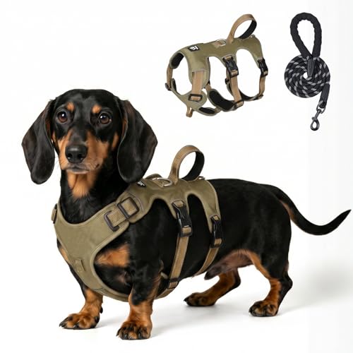 Escape Proof Dog Harness and Leash Set,Soft Padded Full Body Pet Harness, No Pull Reflective Adjustable Dog Vest with Handle, Easy Control Dog Harness for Medium Large Dogs Training Walking Running - color: Khaki, size: M