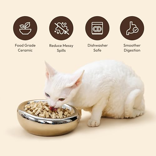 Pebble Pet Bowl Deep Pearl, Ergonomic Dog Cat Feeding Bowl, Flat-Faced Breed, Tilted Ceramic Pet Food Dish, Scooper Eater, Anti-Spill Design, Dishwasher Safe, Modern Pet Bowl, Dry & Wet Diet - color: Pearl