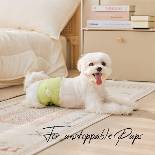 WICKEDPUP Male Dog Belly Band Kit, 50 Diaper Pads & 1 Reusable Male Wrap (Size 0 (10.5"-14" Waist)) - size: Size 0 (10.5"-14" Waist)