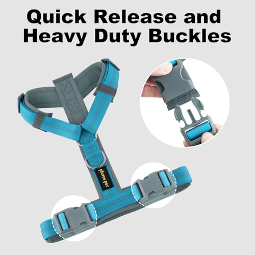 Plutus Pet No Pull Dog Harness, Adjustable Nylon Harness with Soft Padding, Reflective and Heavy Duty Dog Harness for Small, Medium, Large Dogs(Cyan, S) - color: Cyan, size: S