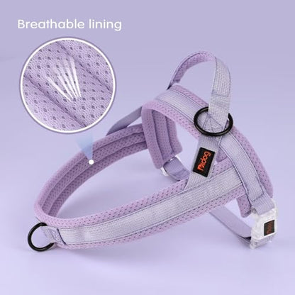 Didog No Pull Dog Harness with Breathable Mesh Padded, Quick Fit & Easy on Dog Vest Harness for Small Medium Large Dogs Training Walking(Purple,XS) - color: Purple, size: XS:Chest 15-19", Fit 8-17 lbs