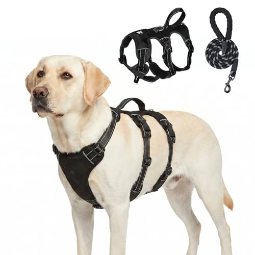 Escape Proof Dog Harness and Leash Set,Soft Padded Full Body Pet Harness, No Pull Reflective Adjustable Dog Vest with Handle, Easy Control Dog Harness for Medium Large Dogs Training Walking Running - color: Black, size: L