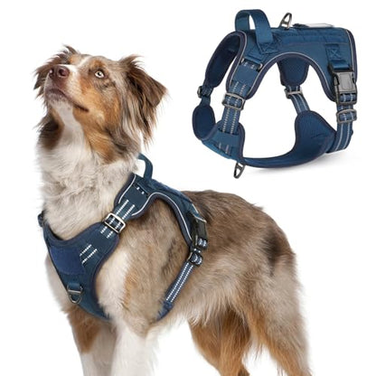 rabbitgoo Dog Harness No Pull, Military Dog Harness Medium Sized Dog with Handle & Molle, Easy Control Service Dog Vest Harness Training Walking, Adjustable Reflective Tactical Pet Harness, Blue, M - color: Blue, size: Medium