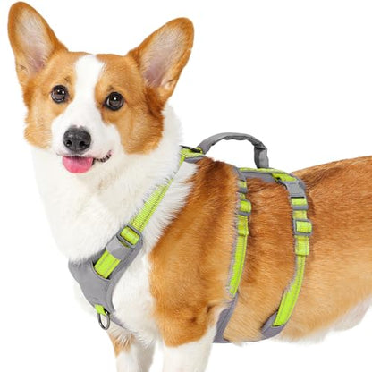Huntboo Reflective Dog Harness with Handle, Escape Proof, No Slip, Breathable, Lightweight, Adjustable Lift Harness for Small, Medium, and Large Dogs Walking, Training,and Running Gear(Bright Green,M) - color: Bright Green, size: Medium (Pack of 1)