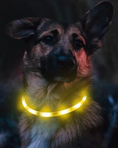 Joytale Light Up Dog Collar, Rechargeable Rainproof LED Collar for Night Walking Safety, Soft Silicone Glow in The Dark, Suitable for Small Medium Large Dogs, Yellow - color: Yellow
