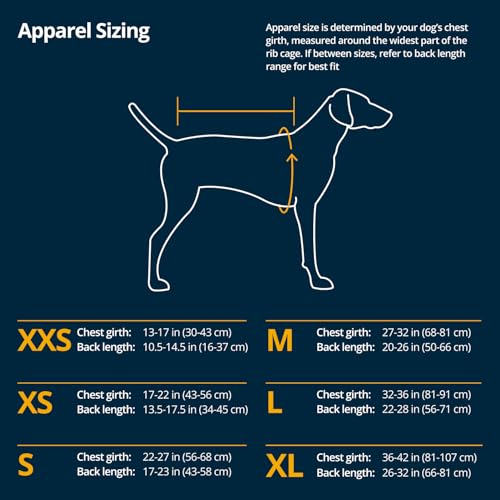 Ruffwear, Powder Hound Dog Winter Jacket, Insulated Softshell Coat with StormSleeve Stretch, Weather-Resistant Shell, Reflective Trim & Light Loop, Cold-Weather Adventures, Blue Pool, XX-Small - color: Blue Pool, size: XX-Small