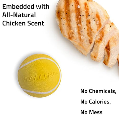 Playology Dog Toys | Squeaky Chew Ball for Dogs | Chicken Scented Medium Dog Ball | Bouncy Floating Chew Toys for Fetch - size: Medium, style: Chicken
