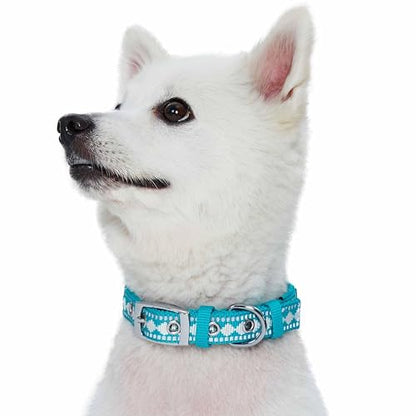 Blueberry Pet Reflective Jacquard Dog Collar with Neoprene Padding & Metal Buckle | Soft & Adjustable Safety Collar - Peacock, Neck 9-12.5", for Small Breed - color: Metal Buckle-Peacock, size: Small