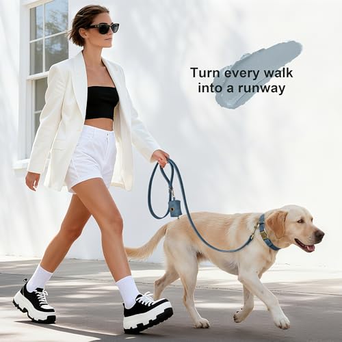 Didog Stylish Dog Poop Bag Holder for Leash, Easy-Pull and Colorful PU Leather Dog Poop Bag Dispenser with Metal Clip, Includes 1 Roll Pet Waste Bag for Daily Walking,Blue - color: Blue