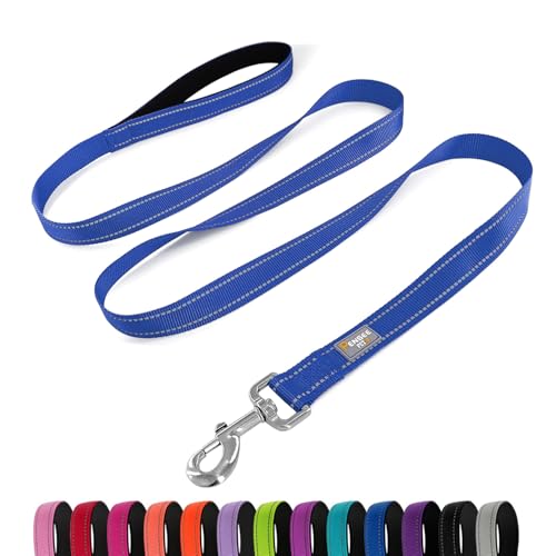 Dog Leash 6 FT Padded Handle Nylon Reflective Dogs Leashes for Small Dogs Blue - color: Refl Blue, size: Small : 5/8" x 6 FT
