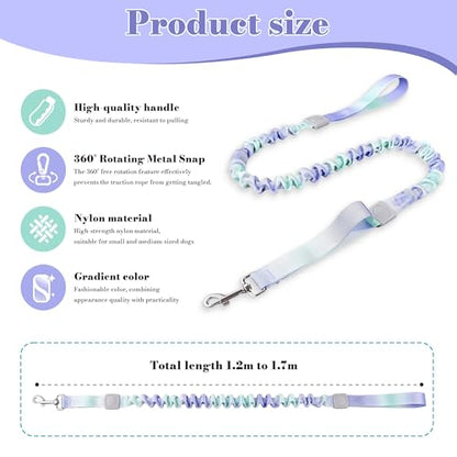Dog Leash for Small to Medium Dogs, Shock Absorbing Dog Leashs, Dog Walking Leash, Dog Training Leashs, Ombre Color， 4-5.5 Feet(Violet-Green Ombré) - color: Violet-Green Ombré