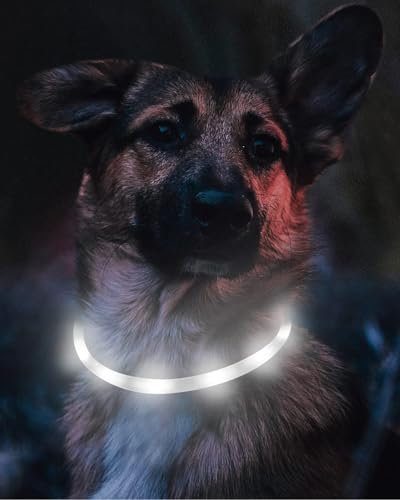 Joytale Light Up Dog Collar, Rechargeable Rainproof LED Collar for Night Walking Safety, Soft Silicone Glow in The Dark, Suitable for Small Medium Large Dogs, White - color: White