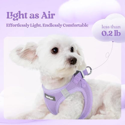 rabbitgoo Dog Harness Small Sized and Leash Set, Step in Soft Light Puppy Vest, Breathable Mesh Pet Harness, Reflective for Safe Easy Walking, Light Purple XXXS - color: Light Purple, size: Xxxs (chest: 10.8 - 11.8")