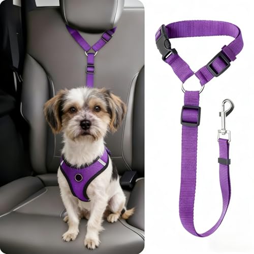 Secure Buckle Dog Seat Belt – 15.7~21.7 Inches Adjustable Pet Tether for Vehicle Safety - Purple