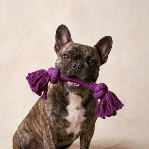 Playology Dog Toys | Dri-Tech Rope Tug of War Dog Toy for Tough Chewers | Bacon Scented Medium Tug Rope Toys for Dogs - size: Medium, style: Bacon