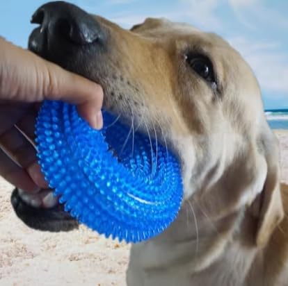 Interactive Dog Chew Ring Toy with Sound, Dental Cleaning, Durable Textured Surface (Blue, Large) - color: Blue, size: Large