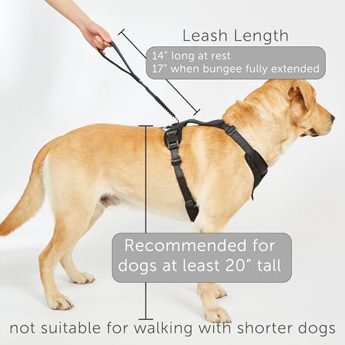 TUG Grab Dog Harness | Integrated Traffic Leash Magnetically Attached for Quick Control (XL/Cream) - color: Cream - Grab Harness, size: XL
