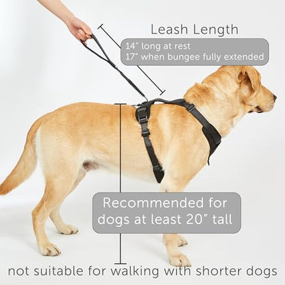 TUG Grab Dog Harness | Integrated Traffic Leash Magnetically Attached for Quick Control (XL/Cream) - color: Cream - Grab Harness, size: XL