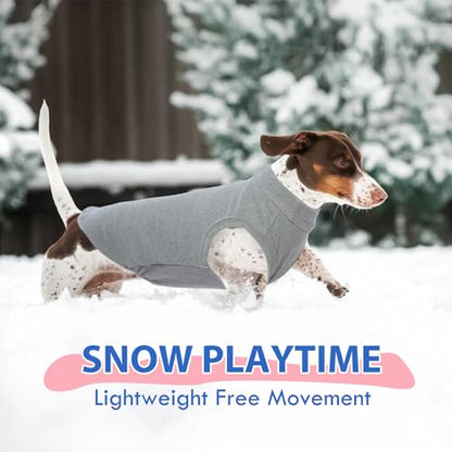 Dog Fleece Vest - Grey, M - Pullover Warm Sweater | Stretchable Sweatshirt Small Dogs Boy, Lightweight Winter Jacket Keep Warm, Mini Dachshund - color: Grey, size: Medium