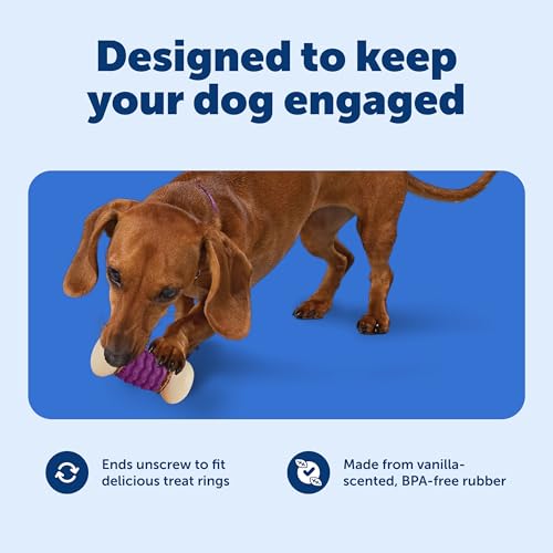 PetSafe Busy Buddy Nobbly Nubbly Treat Holding Dog Toy Strong Chewers Small - size: Small, style: Nobbly Nubbly