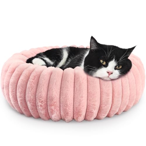 Cute Cat Beds for Indoor Cats - Cuddler Dog Beds for Small Dogs Washable with Anti Slip Bottom,Soft Cozy Comfort Donut Cushion for Puppy and Kitten,Blush Pink,19x19x5 inches - color: Blush Pink, size: 19"L x 19"W x 5"Th