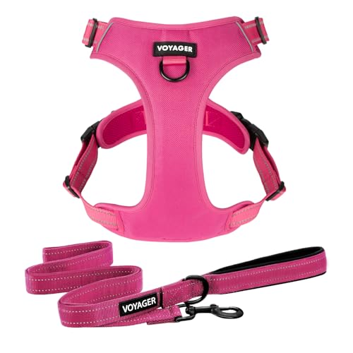 Voyager Dog Harness Dual Leash Attachment No-Pull Control Adjustable Soft but Strong Pet Harness for Medium and Large Dogs with 3M Reflective Technology, Leash Set Fuchsia Nylon, S (Chest: 16-20") - color: Leash Set Fuchsia Nylon, size: S (Chest: 16 - 20"