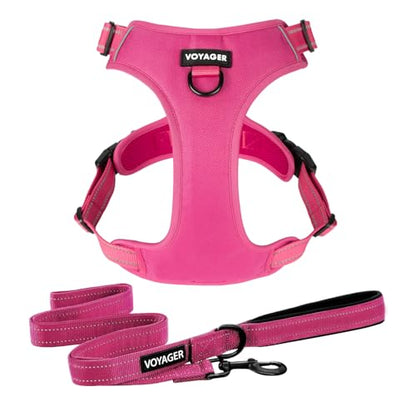 Voyager Dog Harness Dual Leash Attachment No-Pull Control Adjustable Soft but Strong Pet Harness for Medium and Large Dogs with 3M Reflective Technology, Leash Set Fuchsia Nylon, S (Chest: 16-20") - color: Leash Set Fuchsia Nylon, size: S (Chest: 16 - 20"