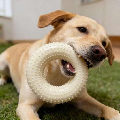 Thermoplastic Rubber Chew Ring, 10cm, Calming Pet Toy, Textured, Boredom Relief Tool, Wellness Support, Exercise, Training, Daily Activity Use