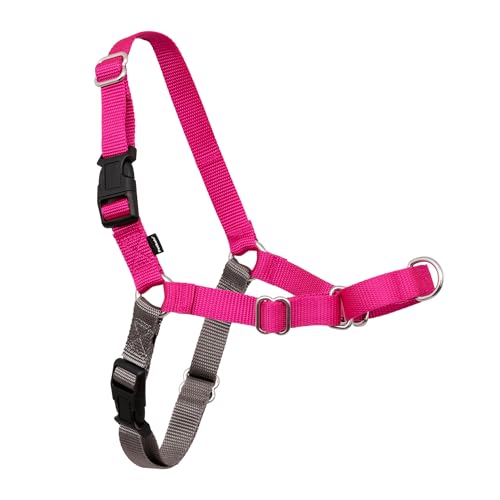PetSafe Easy Walk No-Pull Dog Harness - The Ultimate Harness to Help Stop Pulling - Take Control & Teach Better Leash Manners - Helps Prevent Pets Pulling on Walks - Small/Medium, Raspberry/Gray - color: Raspberry Pink/Grey, size: Small/Medium