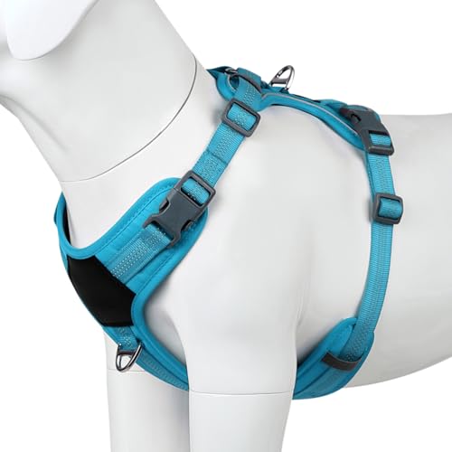 Plutus Pet No Pull Dog Harness, Release at Neck, Soft Padded, Reflective Adjustable Dog Vest Harness for Small, Medium, Large Dogs(Light Blue, XS) - color: Light Blue, size: XS