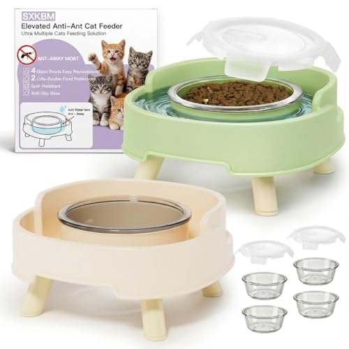 2 Pack Ant Not Cross Elevated Cat Bowls Mess Proof-4 Food Grade Glass Bowls & 2 Lids- No Spill Cat Food and Water Feeding Station for Cats&Puppy Indoor & Outdoor,No Whisker Fatigue Dish - color: Green&Beige, size: 2PACK-4BOWLS