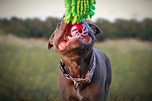 Dingo Dog Tug Toy and TPR Rubber Ball with Bungee Handle, Microfiber Green - color: Green