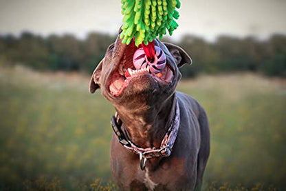 Dingo Dog Tug Toy and TPR Rubber Ball with Bungee Handle, Microfiber Green - color: Green