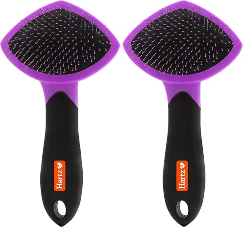 Hartz Groomer's Best Small Slicker Brush for Cats and Small Dogs, Black/Violet, 1 Count (Pack of 2) - size: 1 Count (Pack of 2), style: Small Slicker Brush