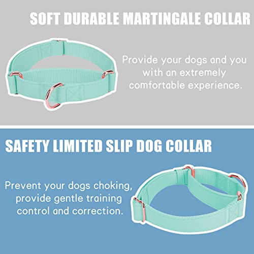 Soft Leather Martingale Dog Collar - Adjustable Rose Gold Limited Slip Collars [Easy to Clean], Stylish Durable Heavy Duty Nylon No Pull Training Collar for Small Medium Large Dogs XS Mint Green - color: Mint Green, size: XS (Neck 8"-11", Width 3/5")