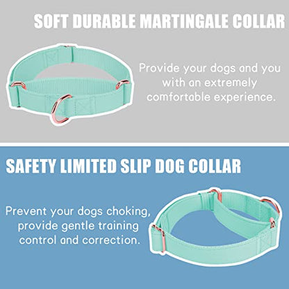 Soft Leather Martingale Dog Collar - Adjustable Rose Gold Limited Slip Collars [Easy to Clean], Stylish Durable Heavy Duty Nylon No Pull Training Collar for Small Medium Large Dogs XS Mint Green - color: Mint Green, size: XS (Neck 8"-11", Width 3/5")
