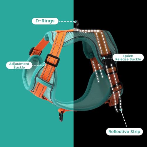 No-Pull Dog Harness with Dog Leash Breathable Mesh Adjustable Soft Padded Pet Vest Reflective for Small/Medium/Large Dogs Walking, Training - color: Blue, size: XL