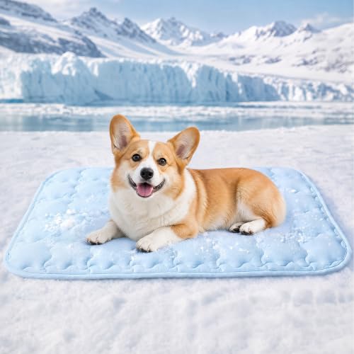 Luciphia Premium Dog Cooling Mat Non-Slip Q-MAX>0.5 Self-Cooling Pad for Medium Pet Indoor Portable Kennel Puppy Bed for Summer Crate Pad for Dog Washable Light Blue 30x40 inches - color: Light Blue, size: 30x40 inches