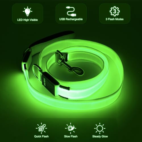 Colaseeme LED Light Up Dog Leash, USB Rechargeable (6FT,Green) | Glow in dark, reflective, USB-C rechargeable, bright LED for night safety, fits medium to large dogs - color: Green, size: 6FT
