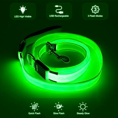 Colaseeme LED Light Up Dog Leash, USB Rechargeable (6FT,Green) | Glow in dark, reflective, USB-C rechargeable, bright LED for night safety, fits medium to large dogs - color: Green, size: 6FT