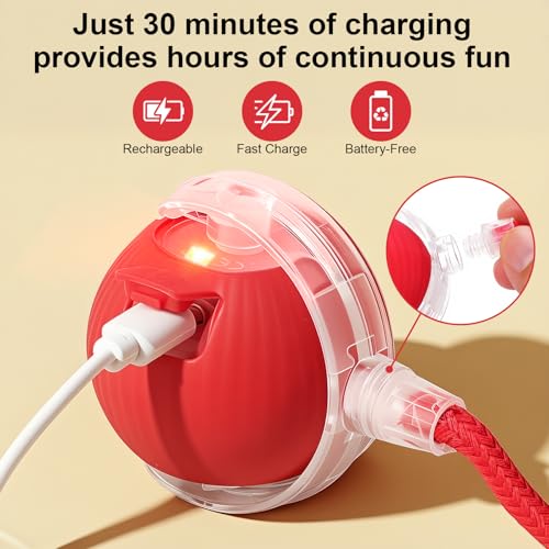 Smart Interactive Automatic Electric Rolling Moving Rechargeable Motion Activated Self Play Electronic Stimulation Chase Teaser Ball Toy with Rope for Indoor Bored Adult Cat and Dog, Red - color: Red