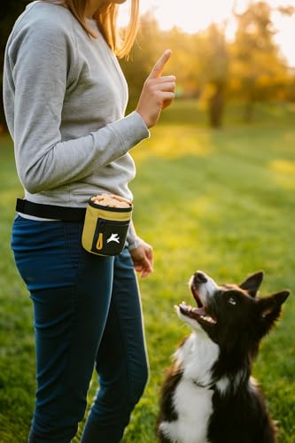 OllyDog, Goodie Treat Bag, Dog Treat Training Pouch | Magnetic Closure | 3 Ways to Wear | Hands-Free Waist Belt | Water-Resistant Recycled Vegan Fabric (Alchemy) - color: Alchemy
