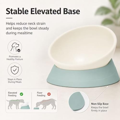 DZXZY French Bulldog Food Bowl, Slanted Tilted Pug Dog Bowl,Non-Slip Pet Feeder for Frenchie, Shih Tzu, Flat Faced Small Dogs, Puppies,Cat(Green, M -2 Cup) - color: Green, size: M -2 Cup