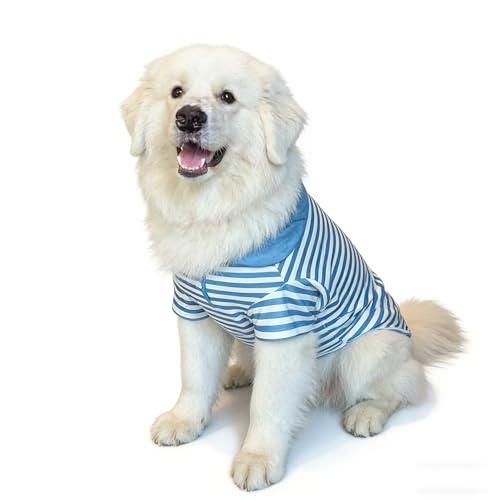 Cute Dog Clothes Striped Dog Polo Shirts Cute Sweater Puppy Clothes Gentle Sweater Pet Clothes for Small Medium Large Dogs Cats (Blue Stripe, 3XL Size for 40-55lb Pets) - color: Blue Stripe, size: 3XL size for 40-55lb pets