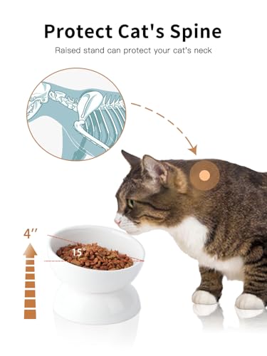 ABRUTY Cat Water Bowl, 16 OZ Ceramic Elevated Cat Bowls, 15° Tilted and Raised Pet Food Dish, Anti Vomiting Protect Pets' Spines and Whisker Fatigue - color: White, size: 1 Pack