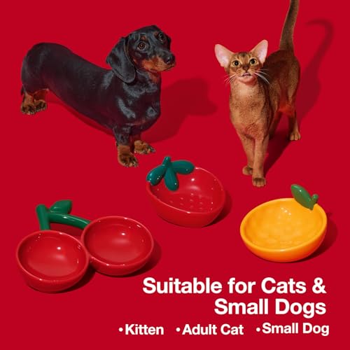 VETRESKA Ceramic Pet Bowl Tilted Design Pet Feeder for Food and Water Anti Vomit Cat Bowls for Indoor Cats Cute Tangerine Cat Bowl Dishwasher Safe - color: Tangerine Bowl