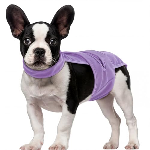 QBLEEV Dog Diapers with Suspenders, Female Escape-Proof Full Body Dog Period Diapers Overalls, Reusable Washable Sanitary Panties for Heat Cycle & Incontinence, Doggie Underwear Onesie with Tail Hole - color: Purple, size: S（Back Length:11.0"）