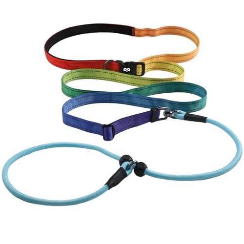 QQPETS Adjustable Slip Lead Dog Leash, Hands Free Waist Leash for Dog Walking, Reflective Training Lead with 360° Swivel Anti-Tangle, 4-7 ft Length for All Breeds - color: Vibrant Gradient