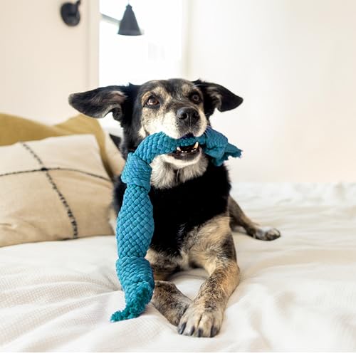 Playology Dog Toys | Dri-Tech Dental Rope Toy for Large Senior Dogs, Gentle on Teeth | Peanut Butter Scented Jumbo Toy | Dog Rope for Tug of War - size: Jumbo Rope, style: Peanut Butter